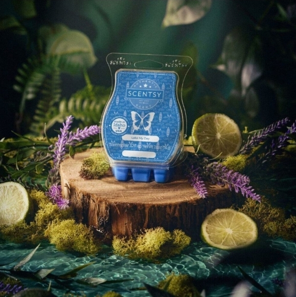Scentsy Lake My Day Waves Crisp Bergamot Fresh Oak Moss Blue Break-Apart Wax - Picture 3 of 5